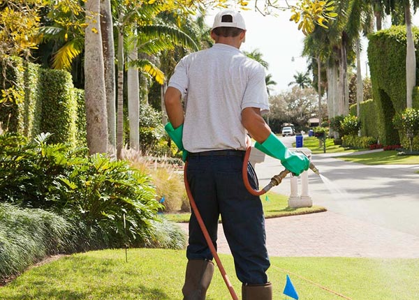 About Rye CO Pest Control